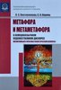 Metafora i metametafora v nemeckojazycnom chudozestvennom diskurse